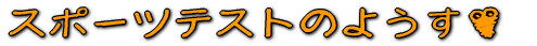 X|[ceXĝ悤